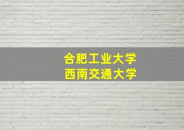 合肥工业大学 西南交通大学